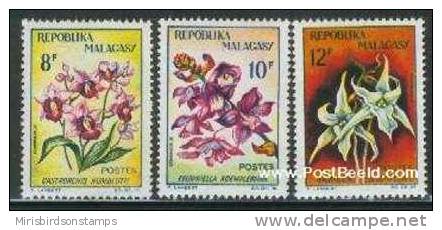 Madagascar 1963 Flowers MNH - Andere & Zonder Classificatie