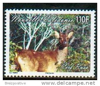 Nouvelle Calédonie / New Caledonia 2011 - Cerf Rusa / Javan Rusa - MNH - Game