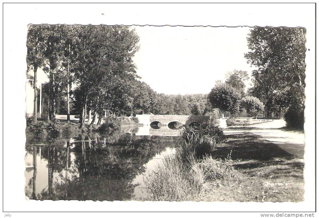 LA FERTE-SAINT-AUBIN  - Le Pont Du Cosson - La Ferte Saint Aubin