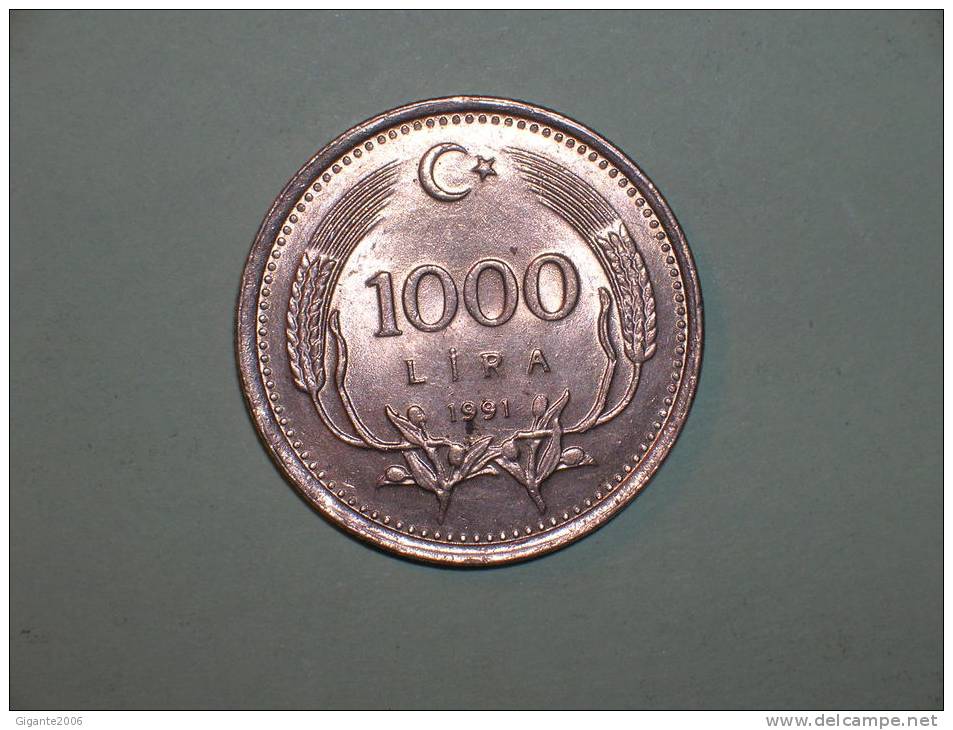 Turquia 1000 Liras  1991 (3841) - Turchia