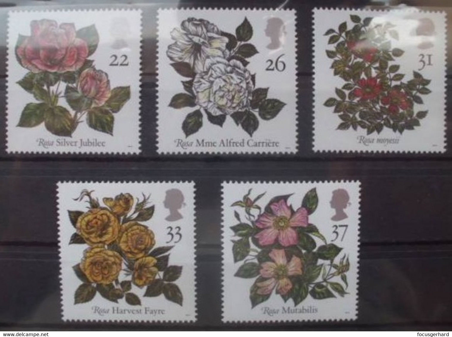 Großbritannien  1991   ** - Unused Stamps