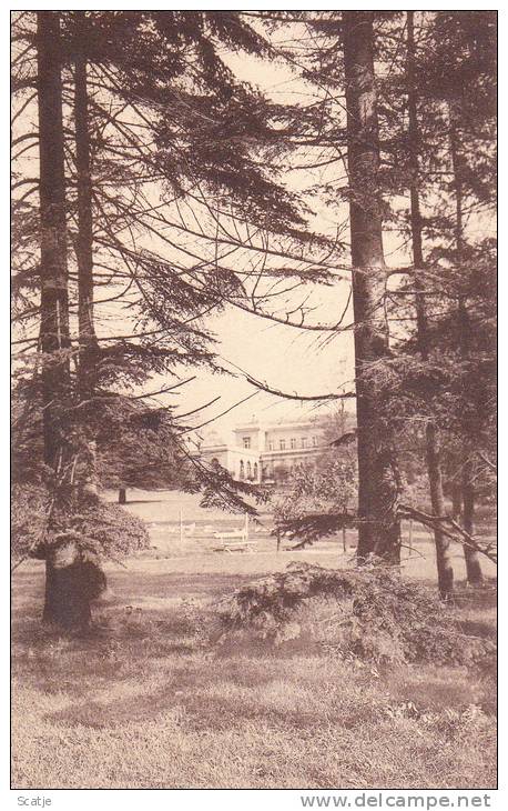 Mariemont,  Royaume De Belgique -  Parc De Mariemont -  Le Parc - La Grande Pelouse Et Le Chateau - Morlanwelz