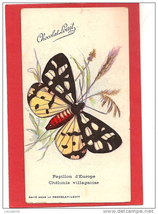 12 / 8 / 360  - Carte Pub. Chocolat  Louit  - Papillon - Insectes