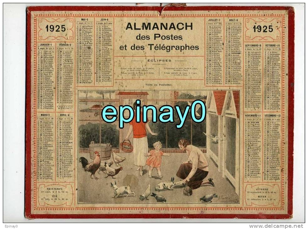 CALENDRIER - ALMANACH DES POSTES ET DES TELEGRAPHES 1925 - POULAILLER - POULE - COQ - PIGEON - LAPIN - BASSE COUR - Grand Format : 1921-40