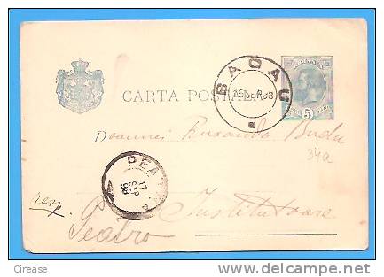 Postcard Send Bacau Of Petea ROMANIA Postal Stationary Postcard 1898 - Covers & Documents
