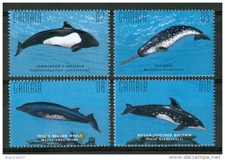 1995 Gambia Vita Marina Marine Life Delfini Dolphins Dauphins Set MNH** Po1 - Dauphins