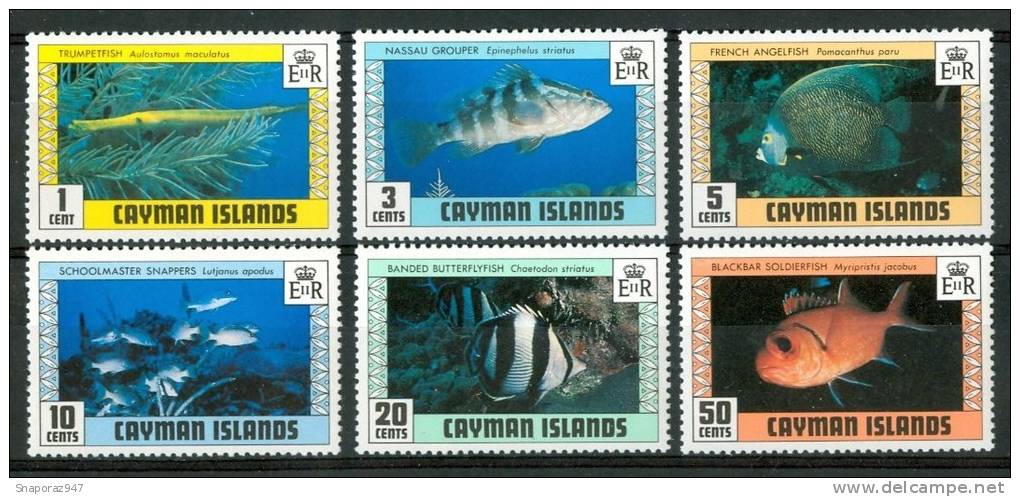 1979 Isole Cayman Vita Marina Marine Life Pesci Fish Fische Poissons Set MNH** Po6 - Iles Caïmans