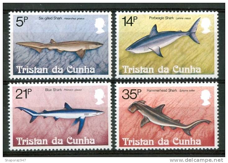 1982 Tristan Da Cunha Vita Marina Marine Life Squali Shark Pesci Fish Fische Poissons Set MNH** Po12 - Tristan Da Cunha