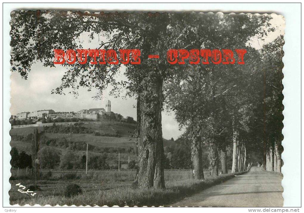 47 - TOURNON D'AGENAIS - Vue Générale Coté Sud - Dos Scané - Tournon D'Agenais