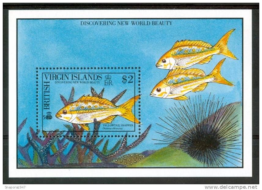 1972 Brithis Virgin Island Vita Marina Marine Life Pesci Fish Poissons Block MNH** Po41 - Britse Maagdeneilanden