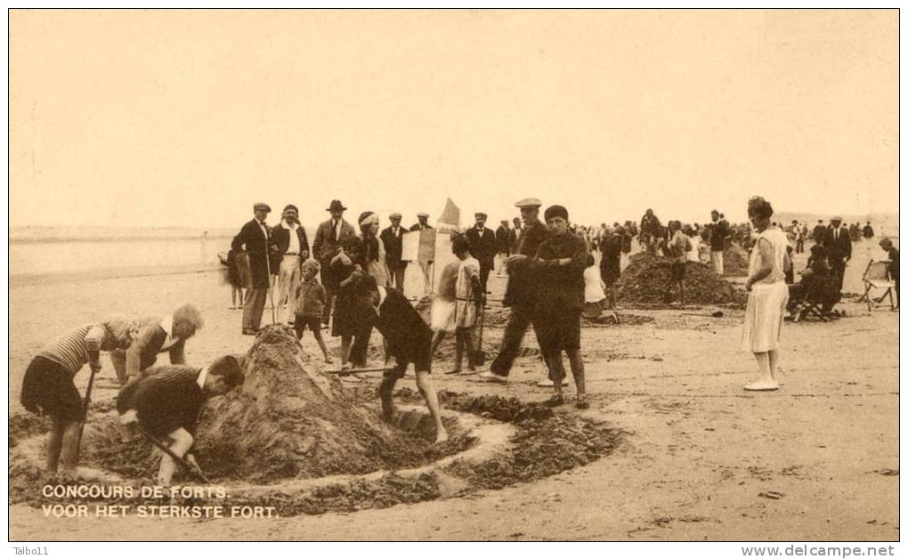 Belgique - Nieuport Bains- Concours De Forts- Voor Het Sterkste Fort (chateaux De Sable) - Nieuwpoort