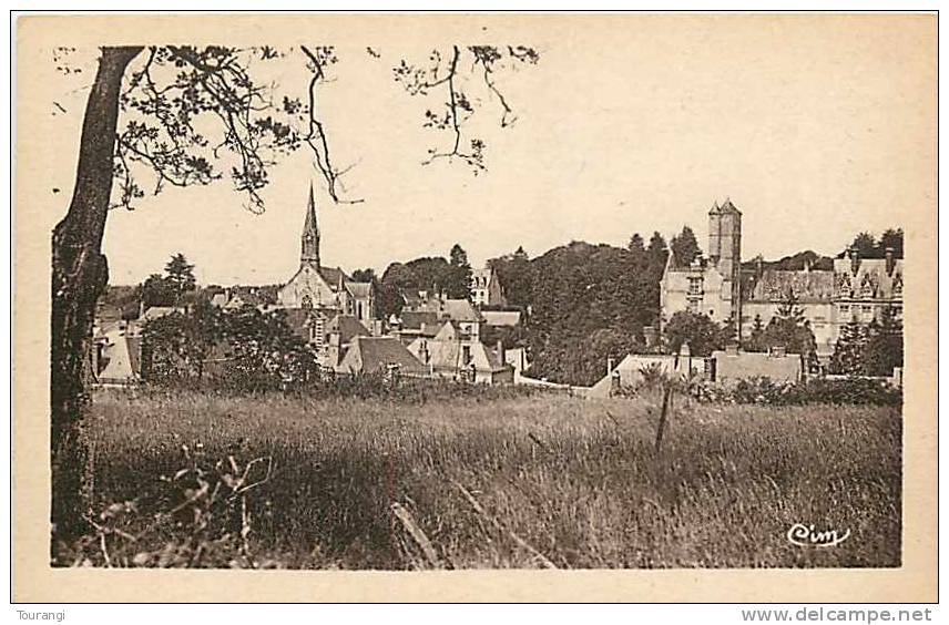 Indre-et-Loire: Sept12 80 : Beaumont-la-Ronce  -  Vue Panoramique - Beaumont-la-Ronce