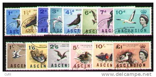 ASCENSION 1963 - BIRDS Set Of 14, V.F. Used. - Ascension