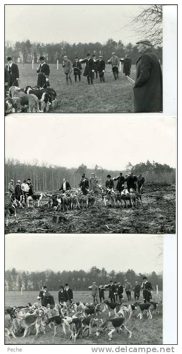 N°22555 -lot 3 Photos -chasse à Courre En Forêt De Tronçais (03) - Jacht