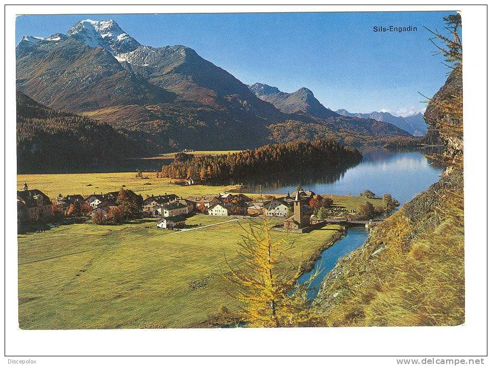 C1122 Sils Im Engadin Und Piz Margna / Non Viaggiata - Sils Im Engadin/Segl