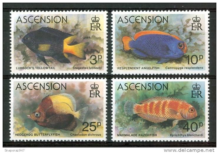 1980 Ascension Vita Marina Marine Life Pesci Fish Fische Poissons Set MNH** Po55 - Pesci