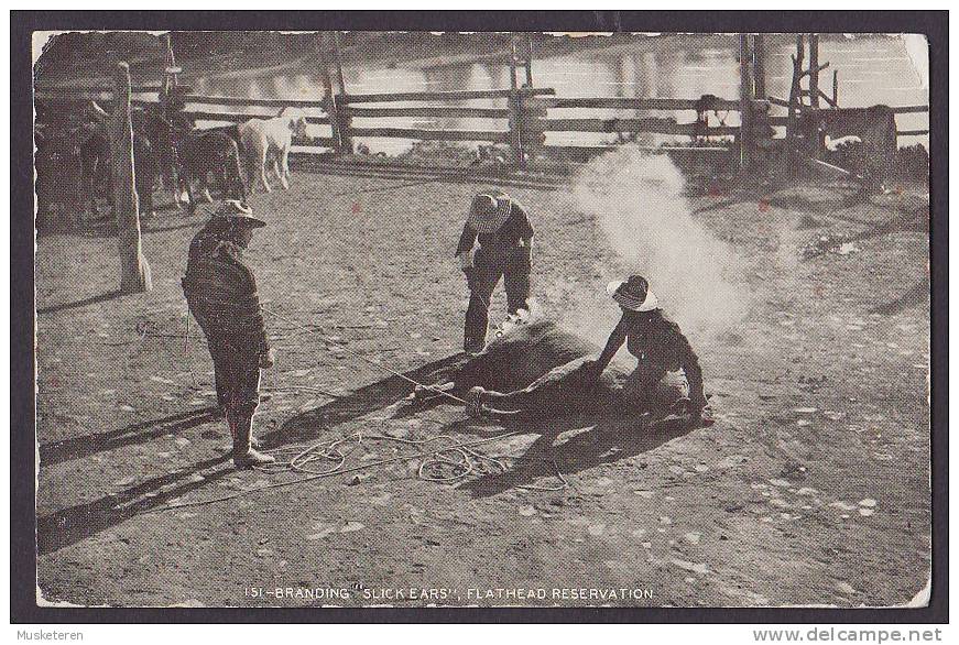 United States PPC ND - 151. - Branding "Slick Ears", Flathead Reservation MINOT North Dakota 1908 Flag Cds. (2 Scans) - Andere & Zonder Classificatie