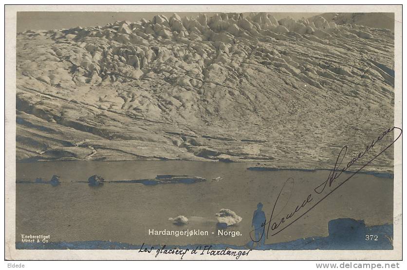 Hardanger No 372 Eneberettiget Mittet  Vignette Norwegens 1914 Kristiana Expo Centenaire - Norvège