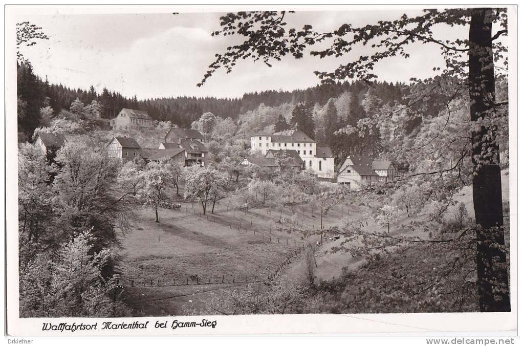 Marienthal, Bei Hamm Sieg, Pension Haus Elisabeth, Um 1957 - Hamm