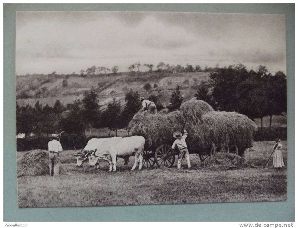 Cp Repro Le Chargement Du Foin - Bourgogne