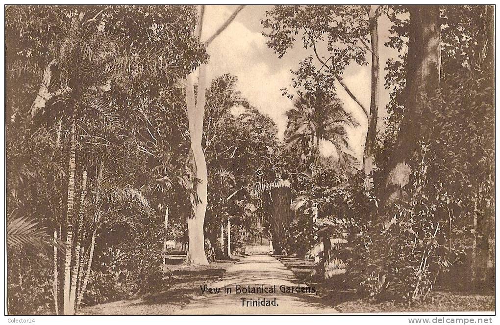 TRINIDAD BOTANICAL GARDENS - Trinidad