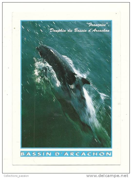 Cp, Animaux, "Françoise" - Dauphin Du Bassin D´Arcachon, écrite 2001 - Delfines