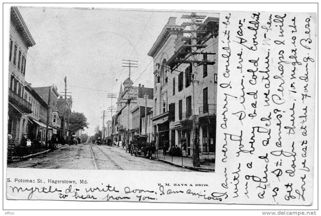 Hagerstown MD S Potomac Street 1905 Postcard - Hagerstown