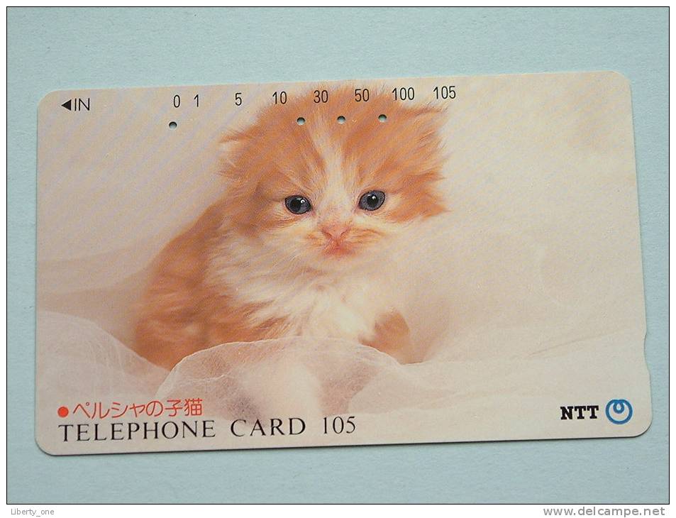 CHAT / CAT / KAT / POES ( NTT Japan ) ! - Katten