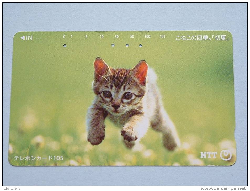 CHAT / CAT / KAT / POES ( NTT Japan ) ! - Chats