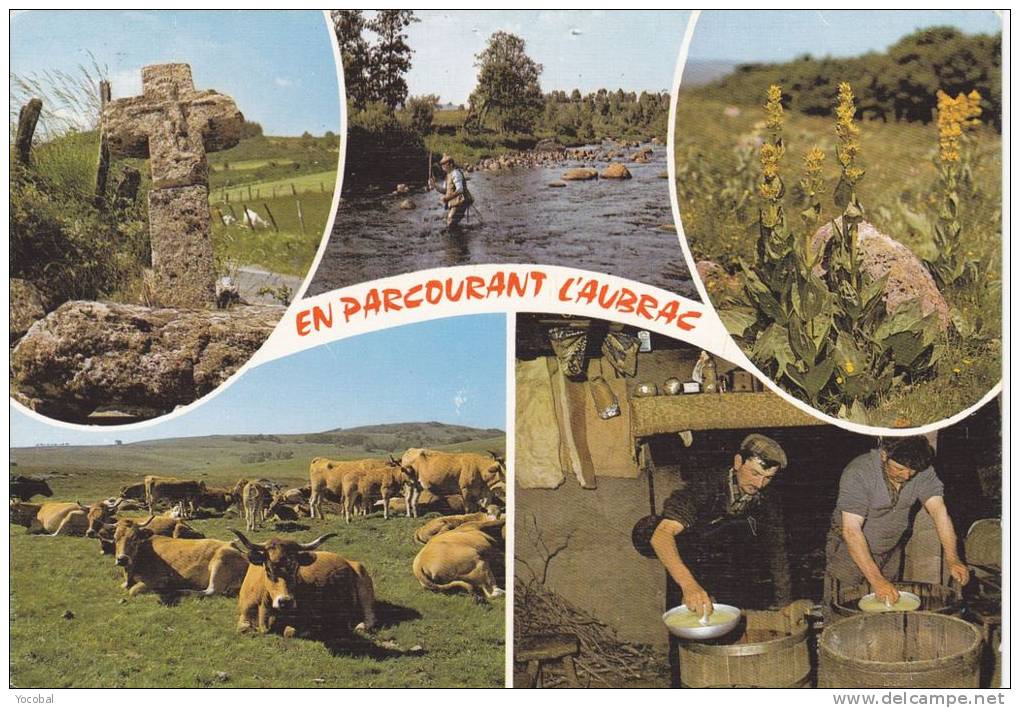 Cp , 12 , LAGUIOLE , En Parcourant Les Monts D'AUBRAC , Multi-Vues - Laguiole