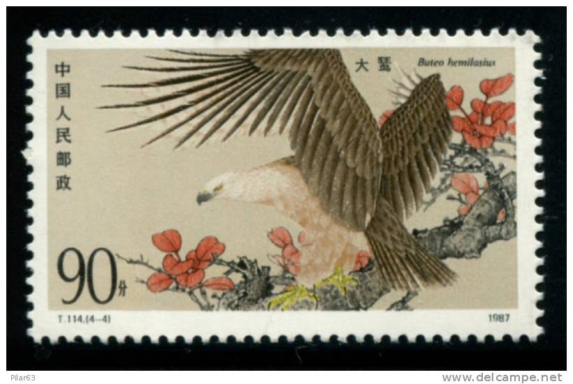 CHINA 1987 - SC#2081 MNH (**) - BIRDS OF PREY : UPLAND BUZZARD - BUSE DE CHINE (Buteo Hemilasius) - Águilas & Aves De Presa