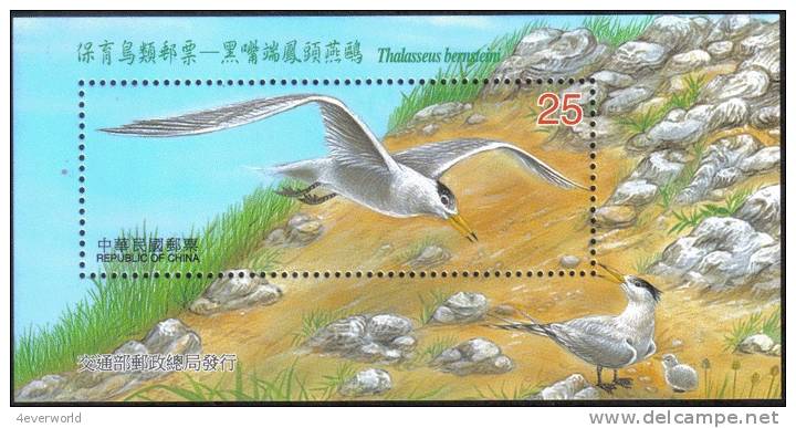 Crested Tern Bird Kingfisher MS Taiwan Stamp MNH - Collections, Lots & Series