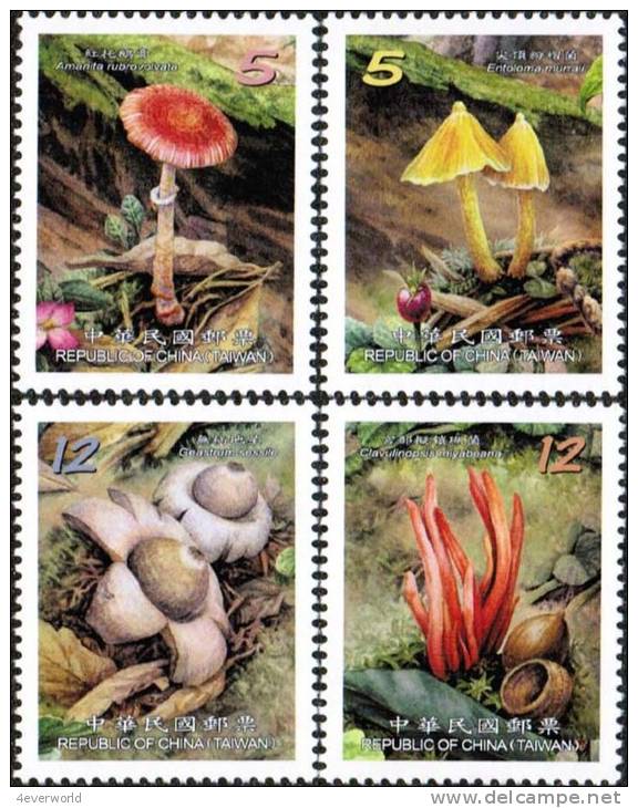 2012 Wild Mushroom Fungus Fungi Flower Flora Plant Taiwan Stamp MNH - Verzamelingen & Reeksen