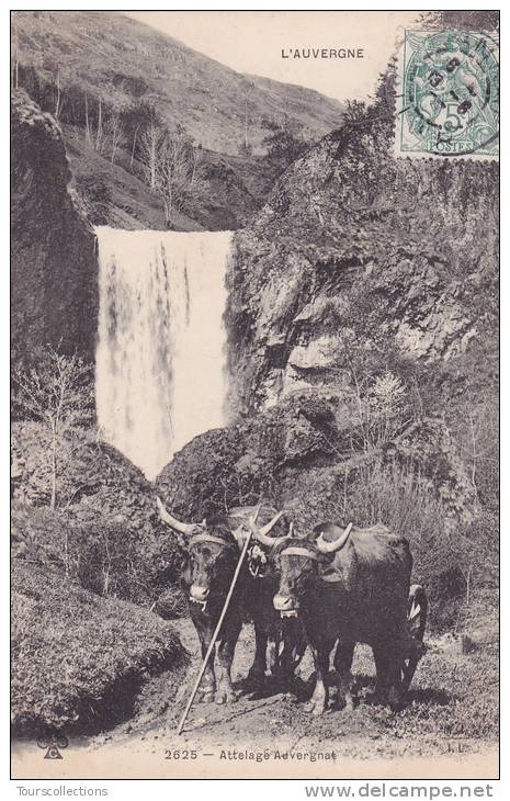 CPA 15 - Cantal @ ATTELAGE AUVERGNAT N° 2625 De MTIL @ Boeufs Salers Accouplés Devant La Cascade - Andere & Zonder Classificatie