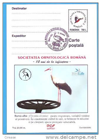 Stork, Birds, Bird Romania Postal Stationery Postcard 2000 - Cygnes
