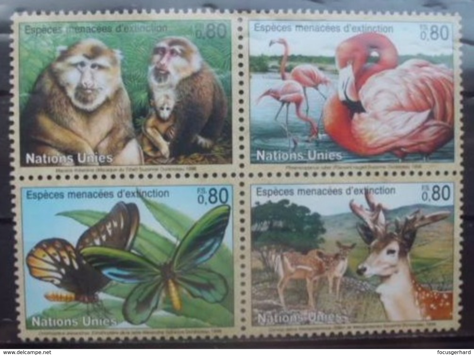 Uno  Genf    Tiere 1998   ** - Unused Stamps