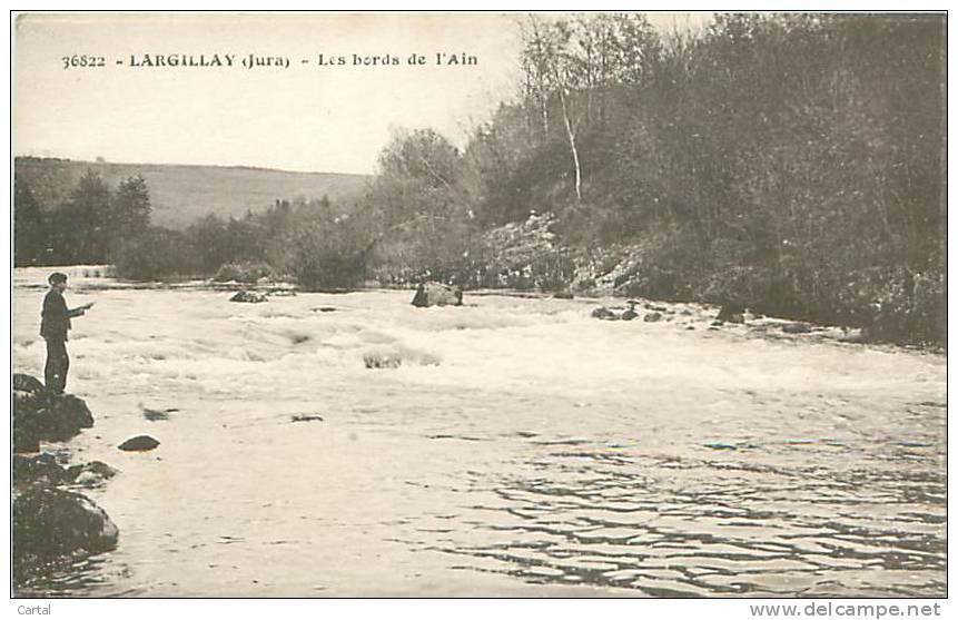 39 - LARGILLAY - Les Bords De L'Ain (Ed. C.L.B., 36822) - Autres & Non Classés