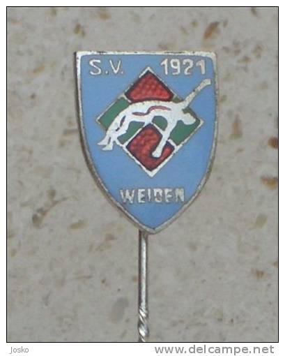 SWIM CLUB WEIDEN 1921. Water Polo Club - Premier League ( Germany Rare Enamel Pin ) Badge Waterpolo - Curling Club - Waterpolo