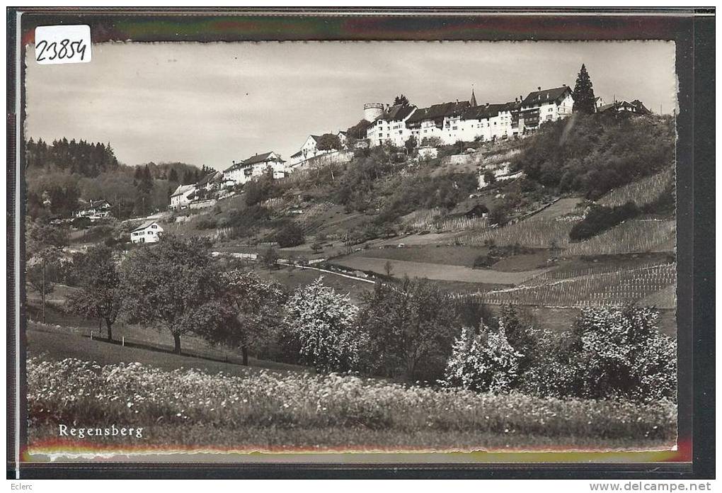 REGENSBERG  - TB ( ADHERENCES AU DOS ) - Regensberg