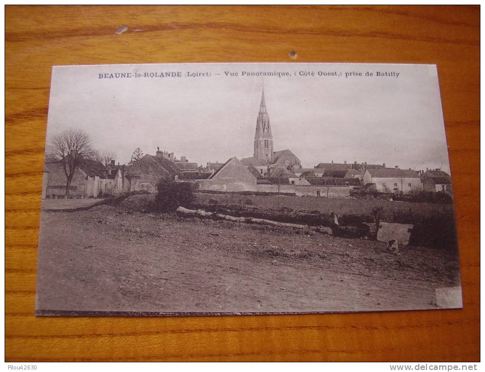 Beaune La Rolande :  Vue Panoramique , Côté  Ouest , Prise De Batilly - Beaune-la-Rolande