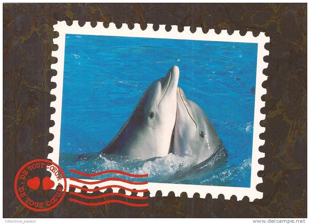Cp , ANIMAUX , Dauphins , Voyagée - Dauphins