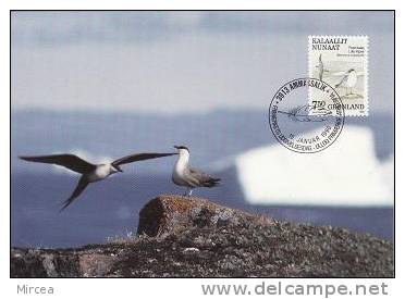 575 - Groenlande 1990 - Carte Maximum - Cartes-Maximum (CM)