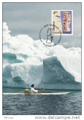 569 - Groenlande 2000 - Carte Maximum - Maximumkarten (MC)
