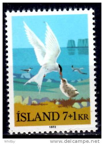 Iceland 1972 7k + 1k  Arctic Terns Semi Postal Issue #B23 - Neufs