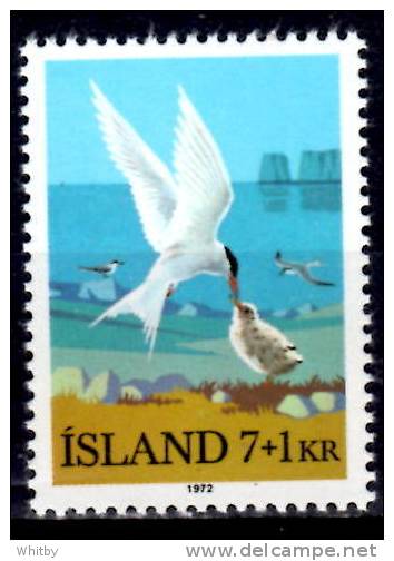 Iceland 1972 7k + 1k  Arctic Terns Semi Postal Issue #B23 - Neufs