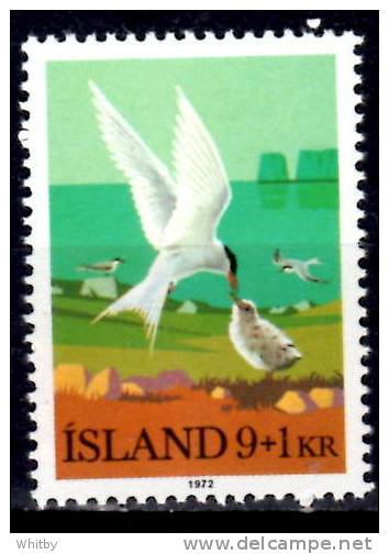 Iceland 1972 9k + 1k  Arctic Terns Semi Postal Issue #B24 - Neufs