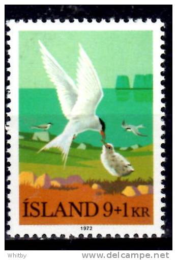 Iceland 1972 9k + 1k  Arctic Terns Semi Postal Issue #B24 - Neufs