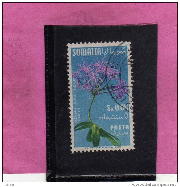 SOMALIA AFIS 1955 FLOWERS - FIORI 1 C - FLEURS  TIMBRATO - Somalia (AFIS)