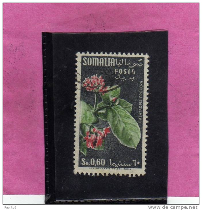 SOMALIA AFIS 1955 FIORI FLOWERS FLEURS FLORA CALATRAPIS PROCERA CENT. 60c 0,60S USATO USED OBLITERE' - Somalia (AFIS)