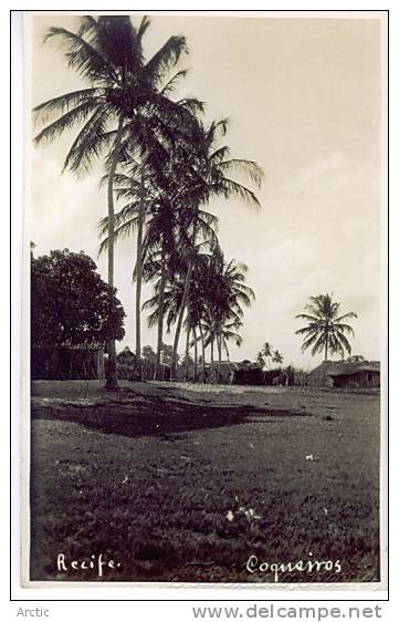 Recife Coqueiros Photo Carte - Recife